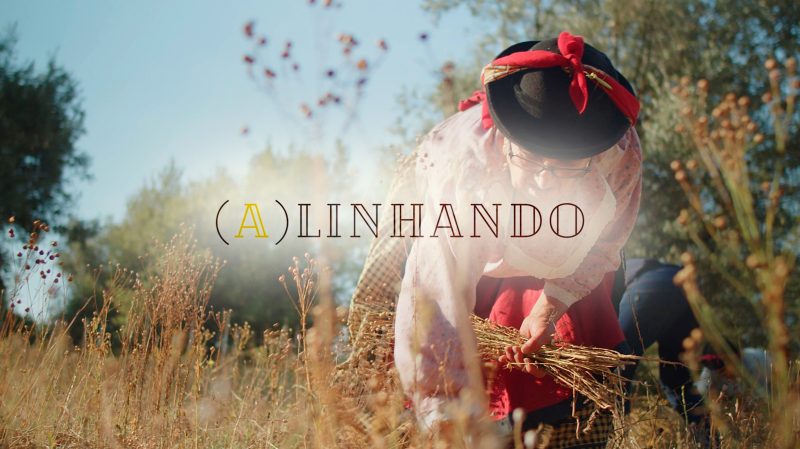 Alinhando – O Linho